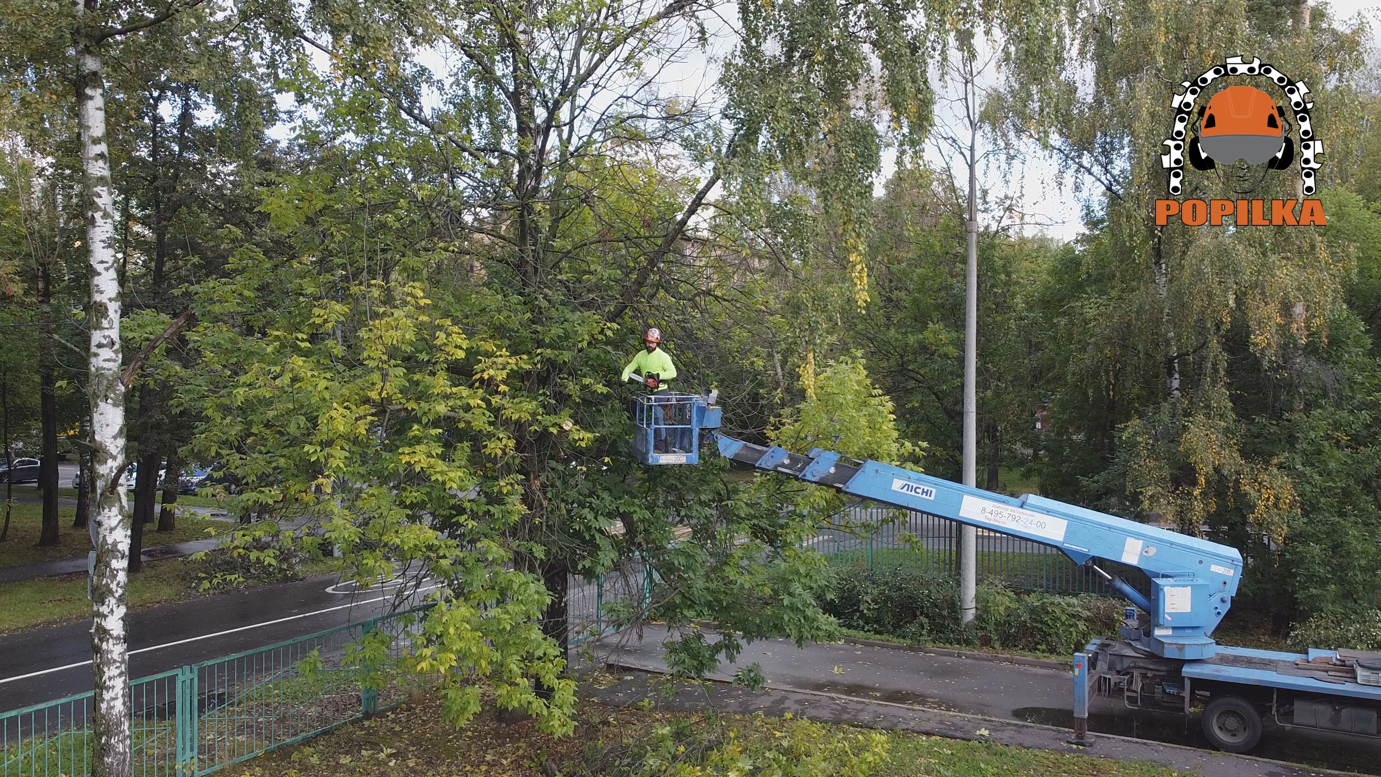 Спиливание и обрезка деревьев в детских садах г. Москва, Отрадное —  Спиливание, удаление деревьев любой сложности. Аренда измельчителя веток.  Удаление пней фрезерованием. Расчистка лесных участков.